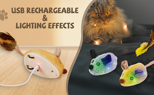 4. Katze mit Spielzeugmaus
