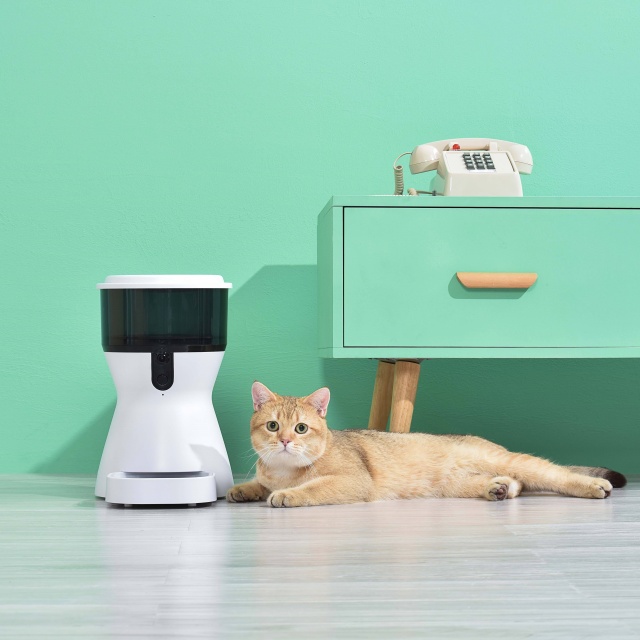 Wehao Haustiere 4L Automatischer Haustiernahrungsspender mit Kamera
